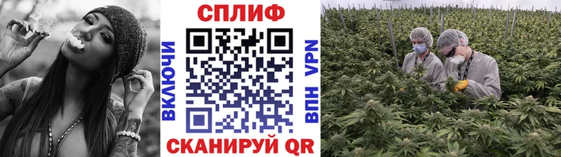 хочу наркоту  Бугульма  Марихуана план 